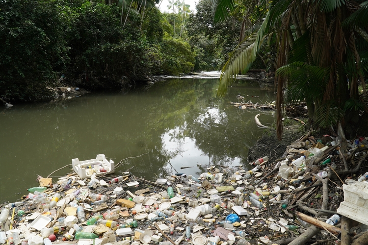 Manaus, Amazon, Brazil- Environmental crime, garbage carelessly thrown into nature.