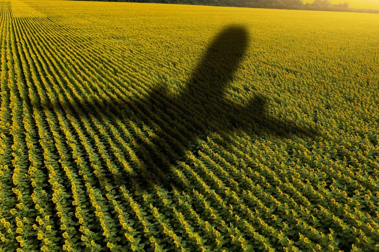 Shadow of the plane on the agricultural field.