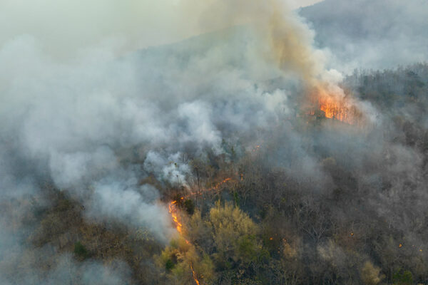 wildfire in south east asia caused by el nino