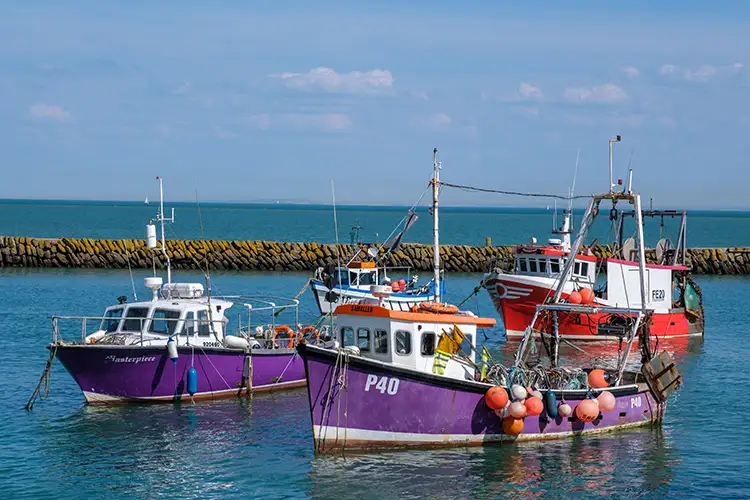 Hooked on imports: the curious collapse of Britain’s fishing industry