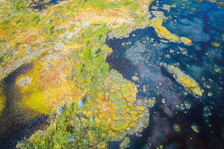 Melting permafrost in Siberia in Russia