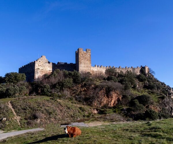 The Winter Way, Spain: the road less travelled