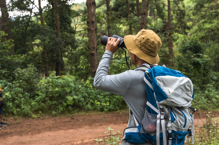 A birdwatcher