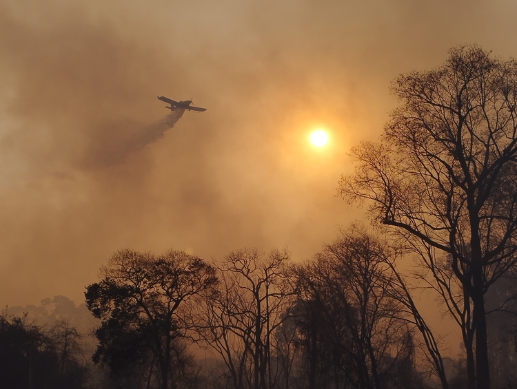 Forest fire in Brazil
