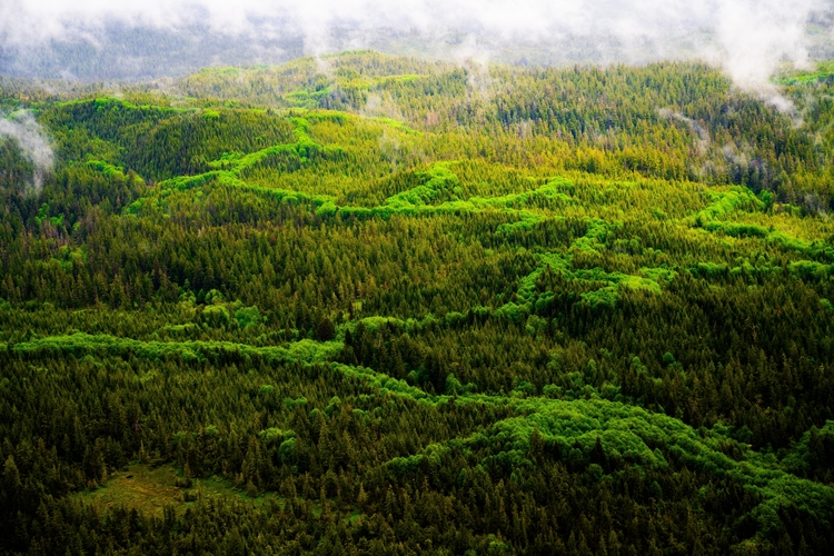 Tongass National Park in Alaska