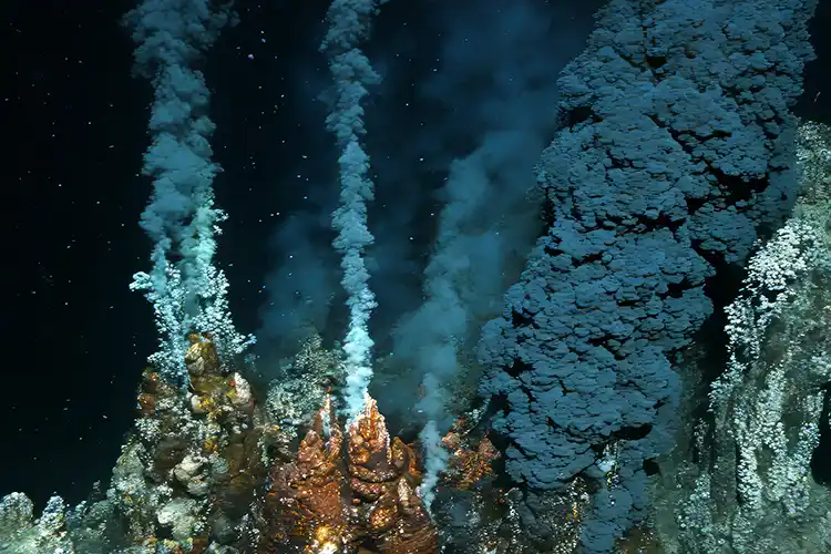 Black smoker - deep-sea hydrothermal vent