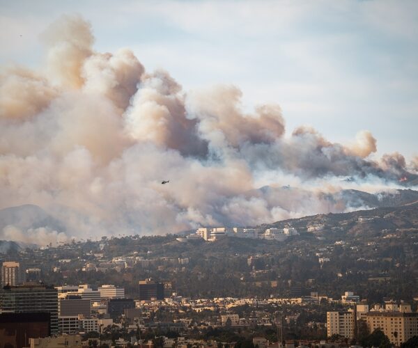 The wildfire management method that boosts water supplies in addition to reducing wildfires