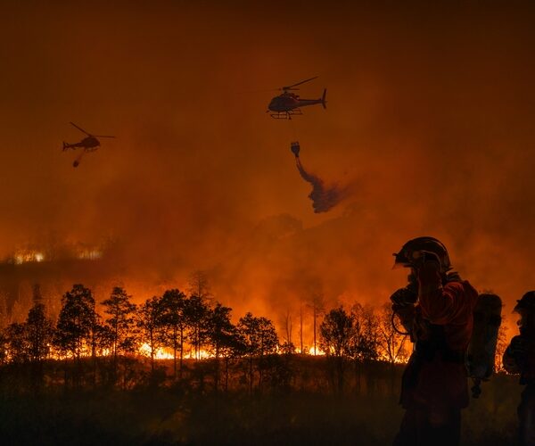 Deforestation falls in Brazil while the world burns