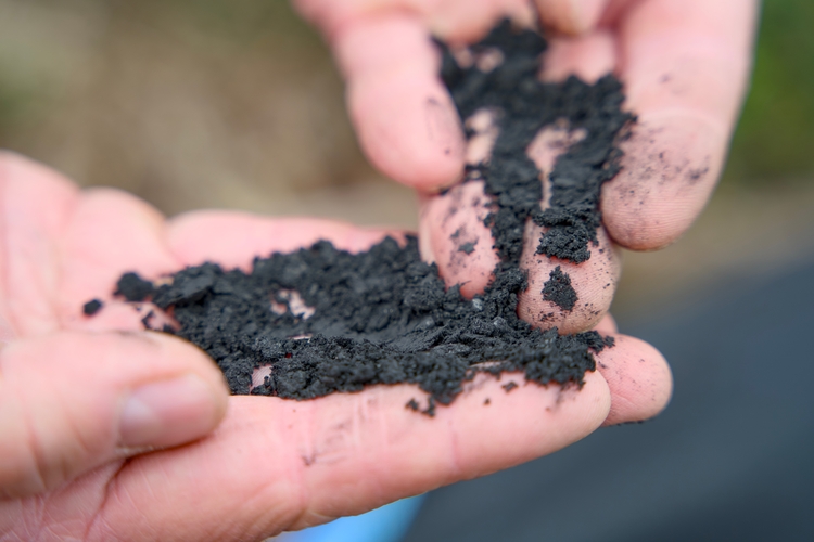 Using biochar could cut emissions of China’s croplands by up to half, study finds
