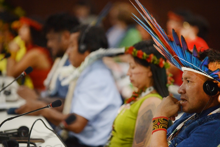 COP30-Belem, Brazil- Nov 12, 2025- indigenous , minister of environmental during meetings at COP30.
