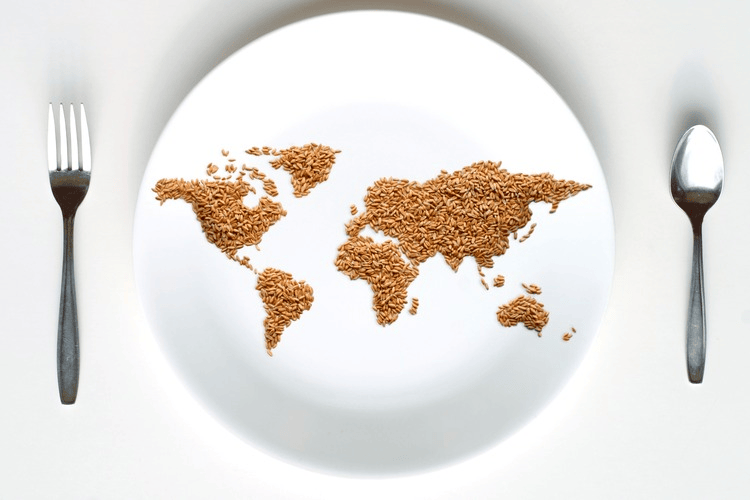 World Map of Grain on Plate