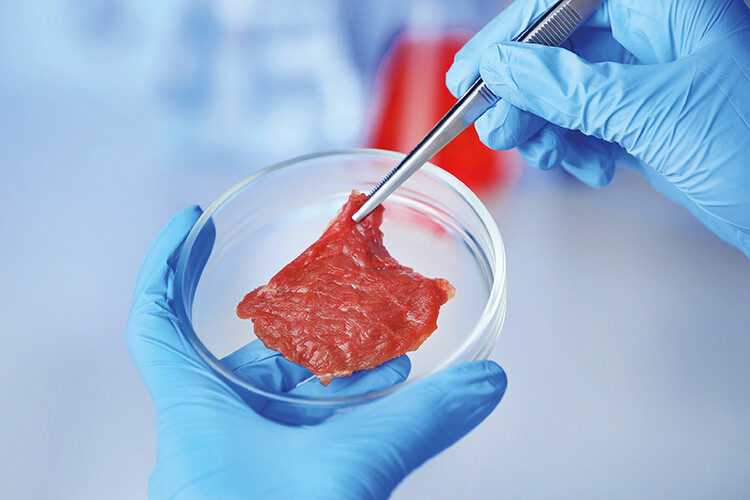 Current production methods of lab-grown beef could be far worse for the environment than traditional farm agriculture