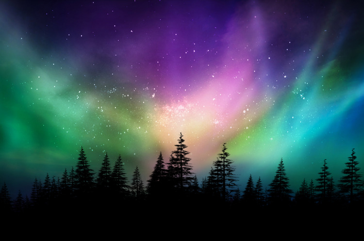 Multicoloured northern lights in a Canadian forest. 