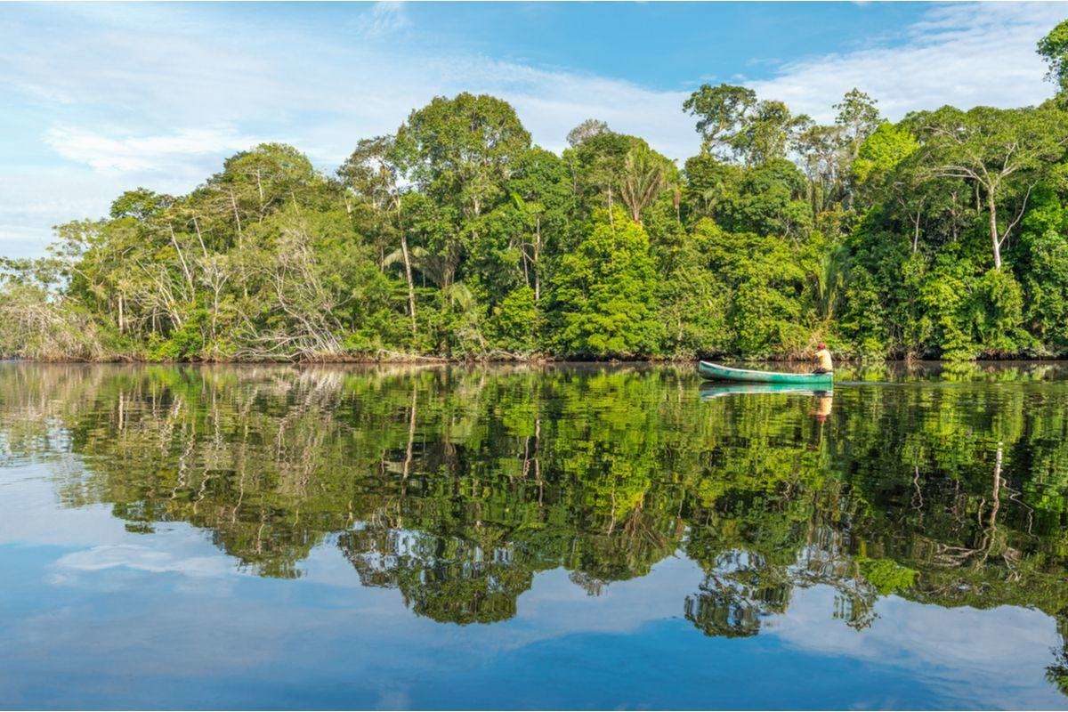 Boat on the Amazon