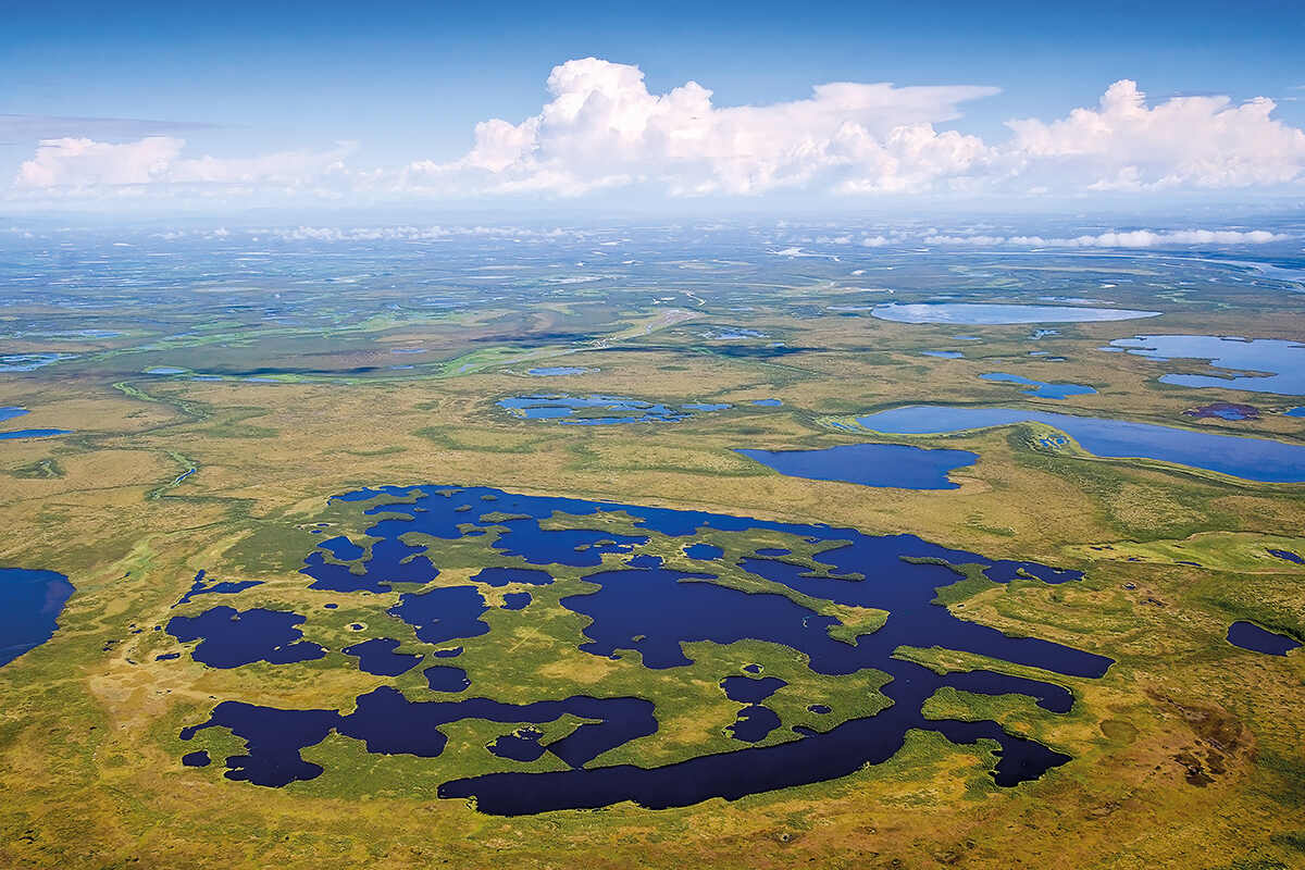 Small lakes proliferate on the thawing Arctic tundra in Chukotka in the Russian far east