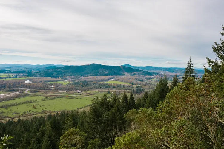 Thurston Hills Natural Area in Springfield Oregon offers great views after a tough hike to the top of some cliffs.