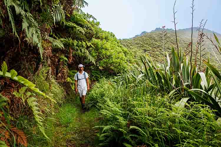 An island for adventurers: Discover St Helena