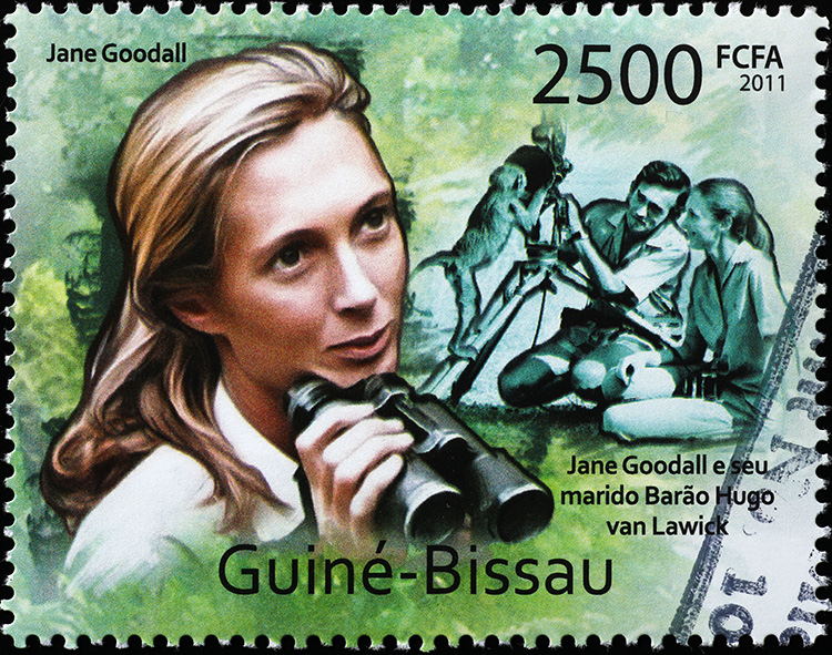 A postage stamp with a portrait of a young Jane Goodall