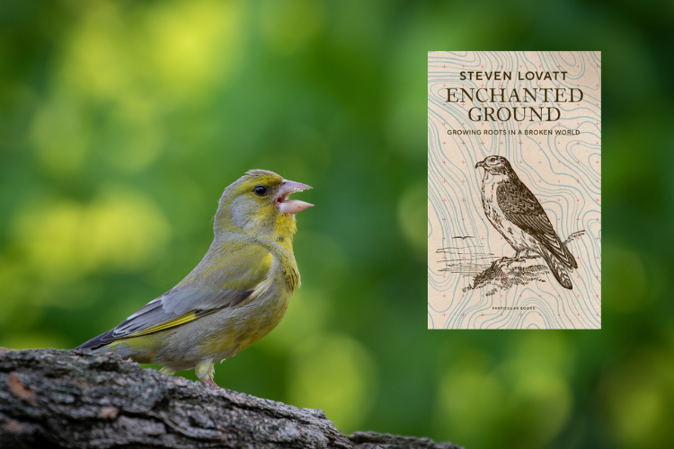 Book review: Enchanted Ground by Steven Lovatt