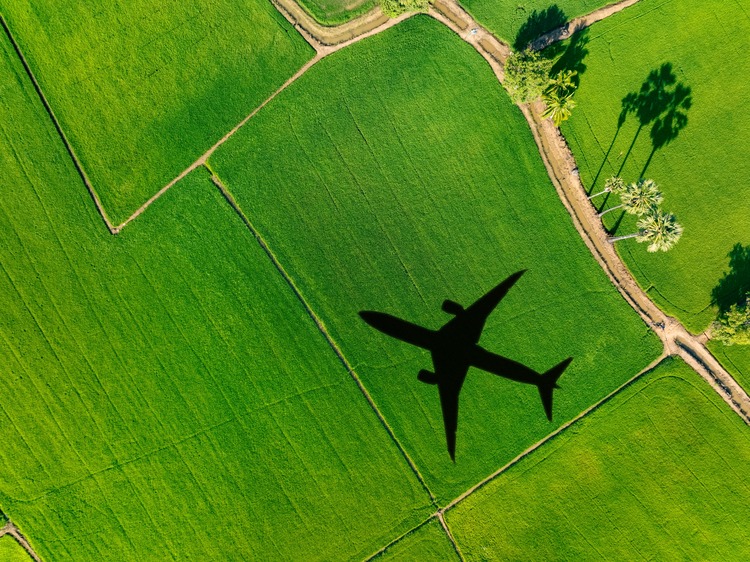 Shadow airplane flying above green field.