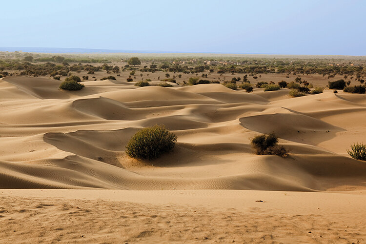 Sifting sands: why the Thar desert on the borders of India and Pakistan is getting greener