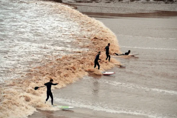 Surfers riding the tidal bore on the Petitcodiac River in New Brunswick, Canada