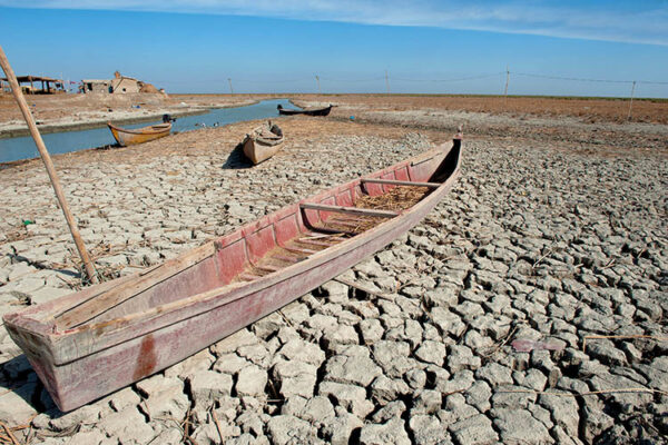 Review: Wounded Tigris by Leon McCarron - Geographical