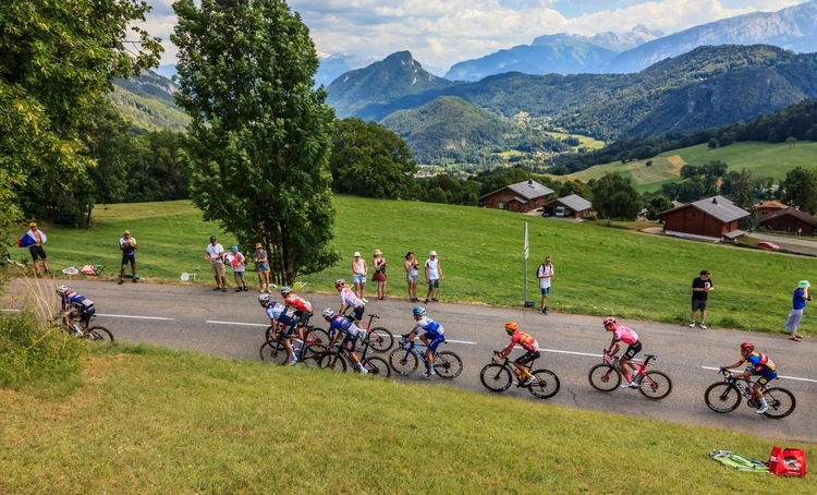 : Image of a group of cyclists in the peloton climbing on the road to Col de la Ramaz, during the stage 14 of Le Tour de France 2023.