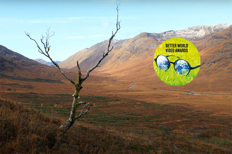 Saving Scotland's oldest pines trees for life better world video awards