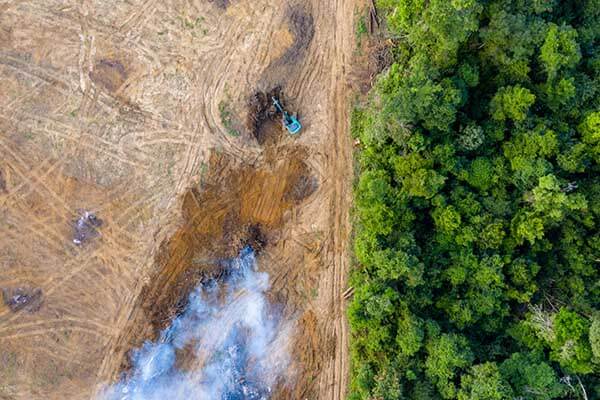 UN move to end plastic pollution is welcome – now what about biodiversity and climate change?