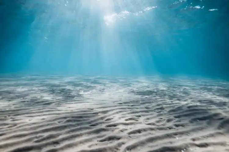 Underneath the seabed lies more than 400 cables carrying roughly 99 per cent of intercontinental internet traffic. 