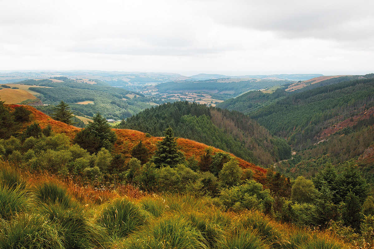 View of the Welsh valleys at Bwich Nant Yr Arian forest