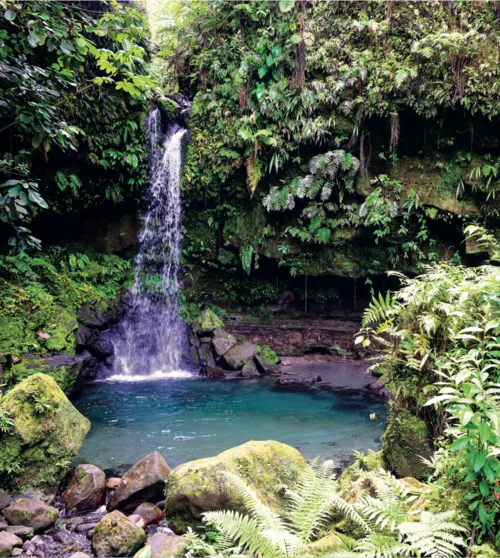 Emerald Pool in the interior of Dominica near the Central Forest Reserve
