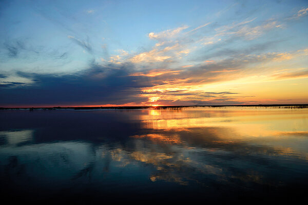 Rewilding Argentina’s Ibera Wetlands