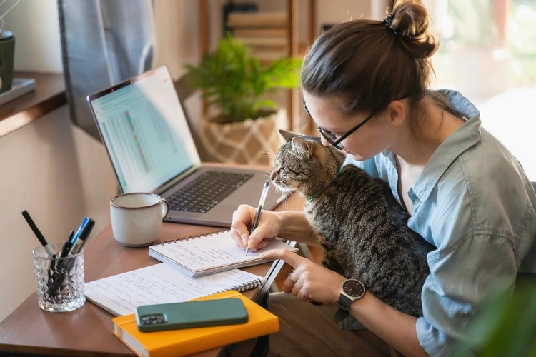 Happy young woman in eyeglasses works at home with a laptop and a cat, remote work and education