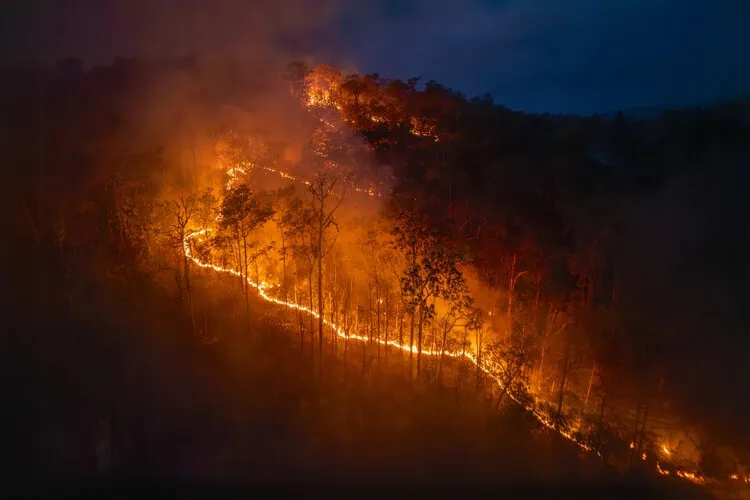 How wildfires could push the climate crisis beyond repair