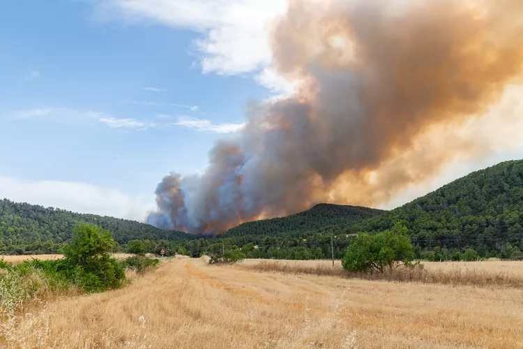 Wildfire in Matarraña, Aragon, Spain, forest fire under smoke
