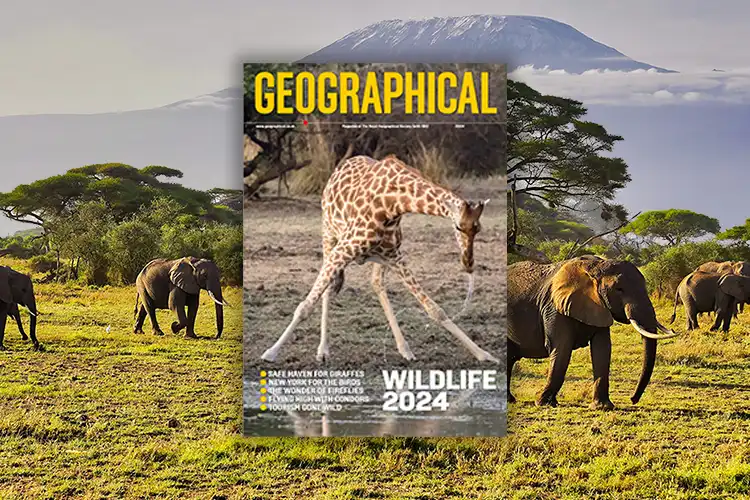 Wildlife Special Edition