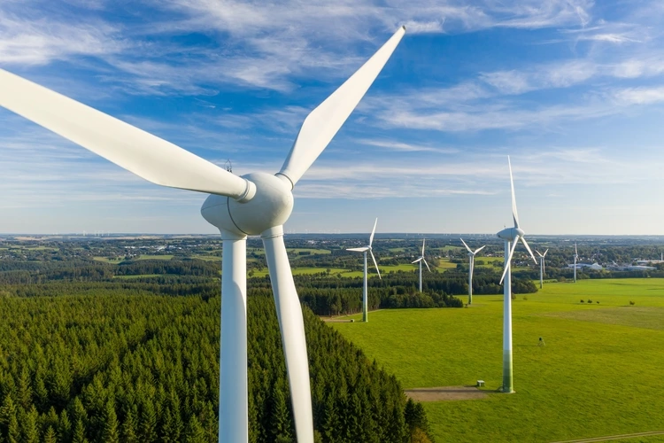 Renewable energy production surpasses coal for first time
