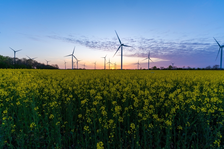 Wind farms