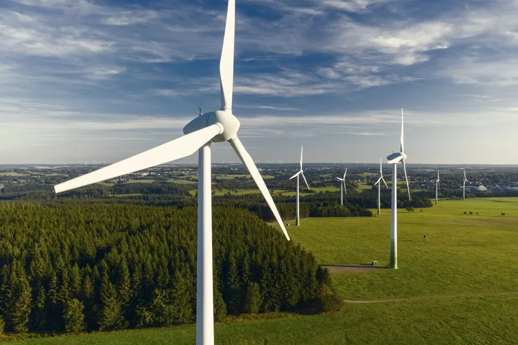 Wind turbines in field