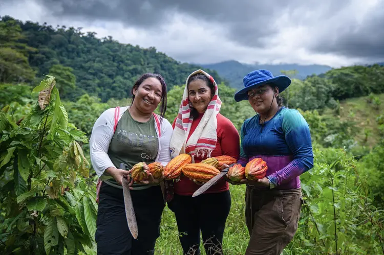 Women FARC ex-combatants in San Jose de Leon, Colombia, find new roles in cacao production as they reintegrate into civilian life