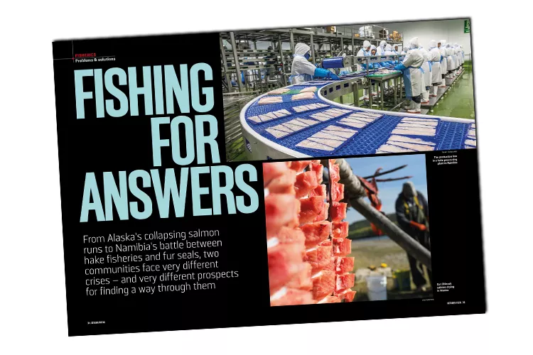 Fishing for answers cover