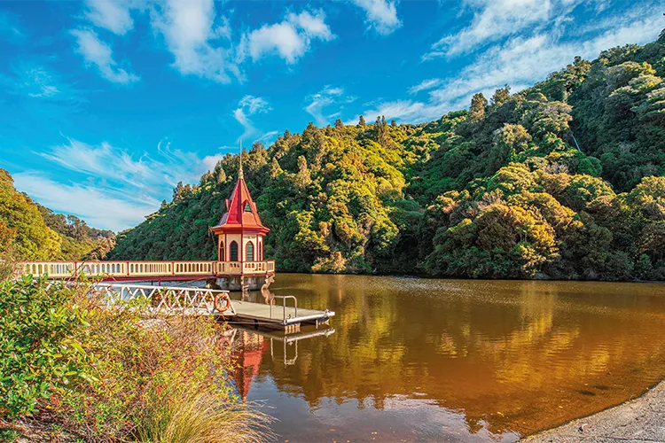 The lower lake greets visitors entering Zealandia