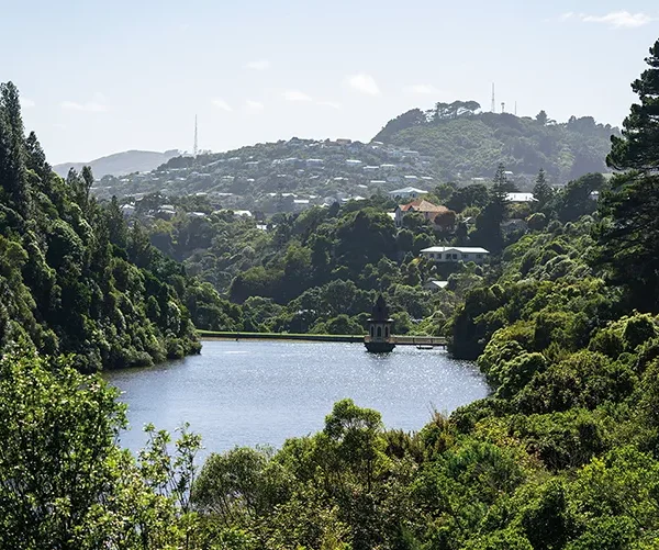 The Zealandia reserve, with the suburbs of Wellington in the background