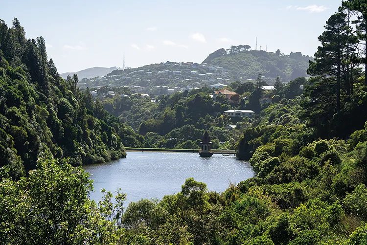 The Zealandia reserve, with the suburbs of Wellington in the background